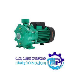الکتروپمپ دو نیم اسب دو اینچ THF6B-4 تایفو TAIFU