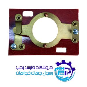 پلاتین پاکستانی