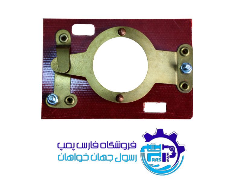 پلاتین پاکستانی